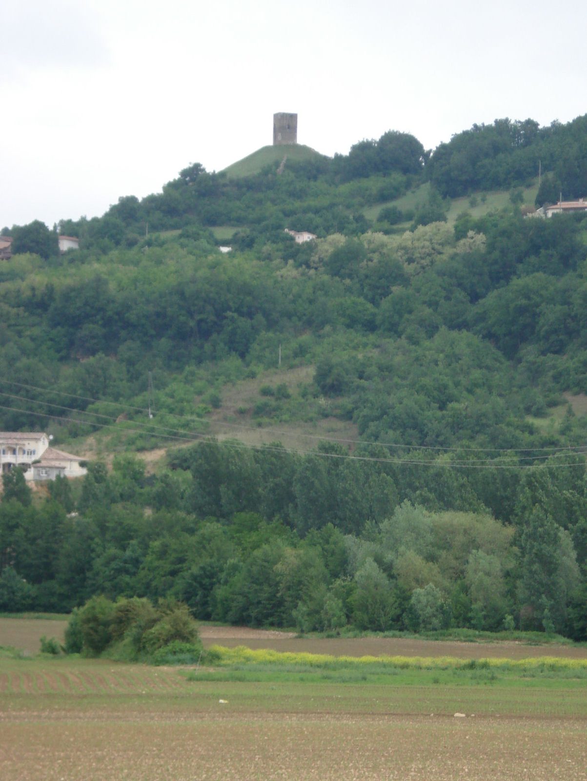 Château d'Albon