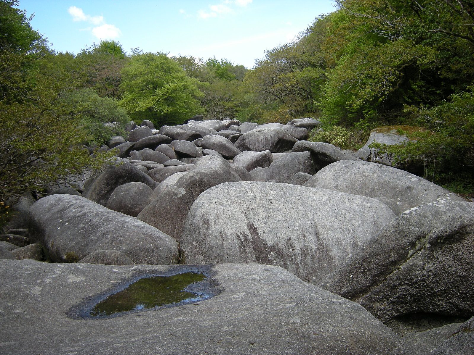 Gorges du Corong
