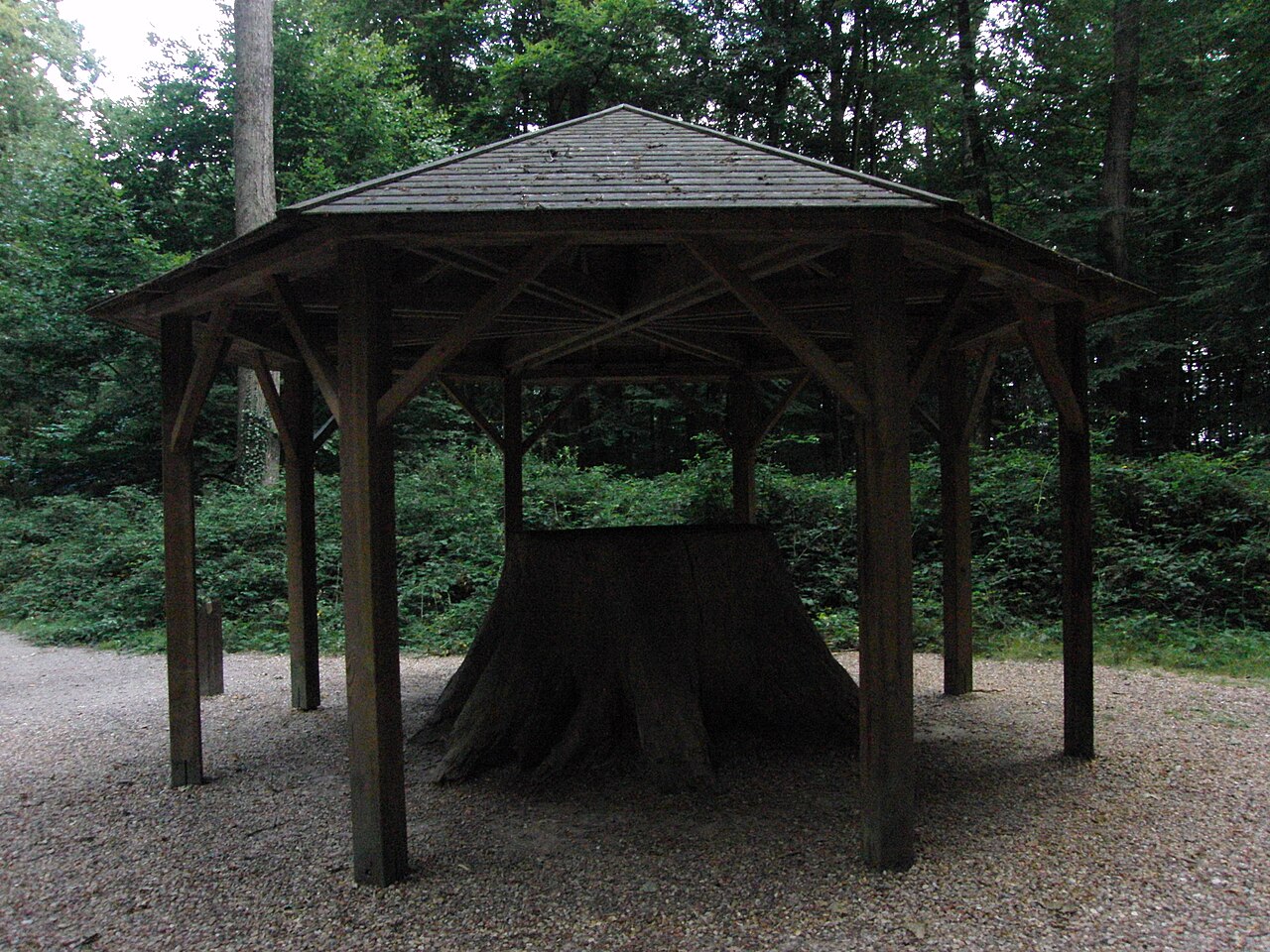 La Forêt de Bercé
