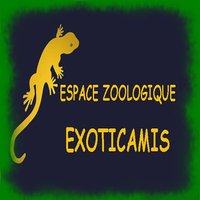 Exoticamis