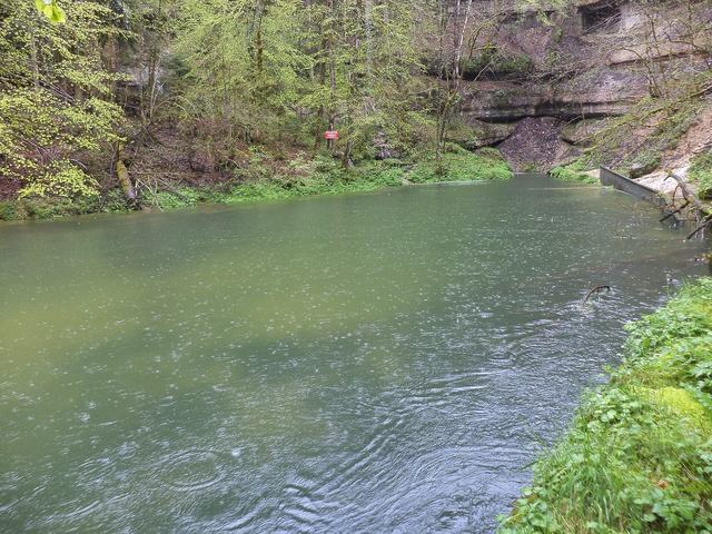 La Source de l'Ain