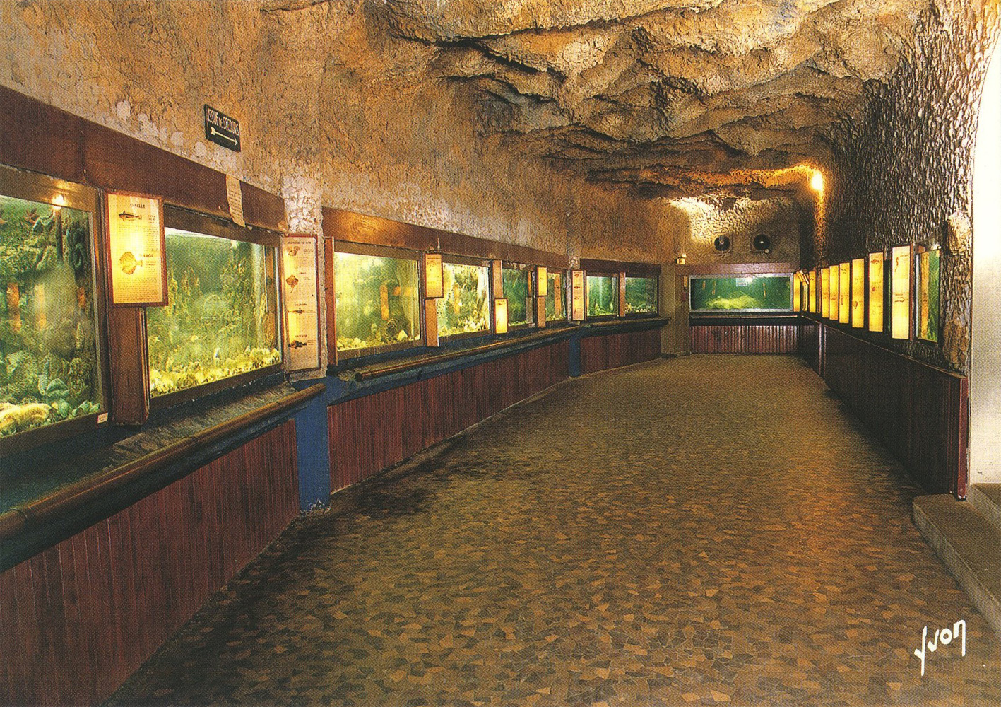 Musée aquarium d'Arcachon