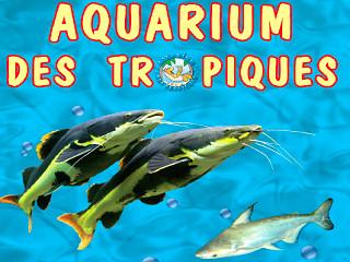 Aquarium des Tropiques 