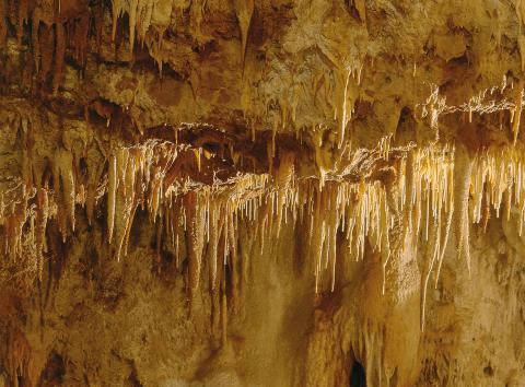 La Grotte de la Draye Blanche