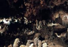 L'Aven Grotte de la Forestière