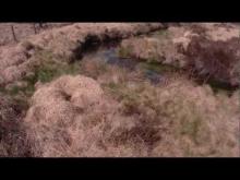 Vidéo Vtt dans les tourbières de Longéroux (longeyroux)