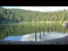Vidéo du lac Vert ou lac de Soultzeren