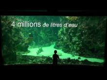 Océanopolis en vidéo
