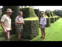 Les jardins du Manoir d'Eyrignac en Vidéo