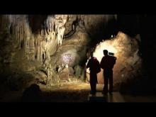 Grotte ornée du Pont d’Arc en Vidéo