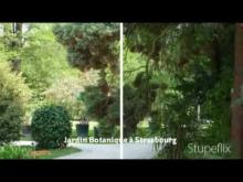 Jardin Botanique de Strasbourg en vidéo