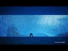 Nausicaá - Centre national de la mer en vidéo