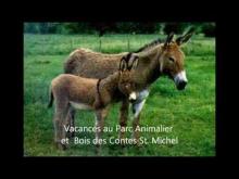 Parc Animalier de St Michel en vidéo