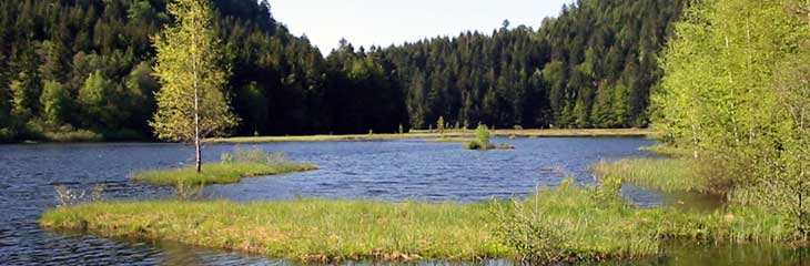 Lac de Lispach et Tourbieres