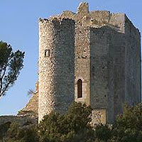 Château de Thouzon