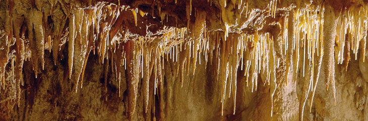 Grotte de la Draye Blanche