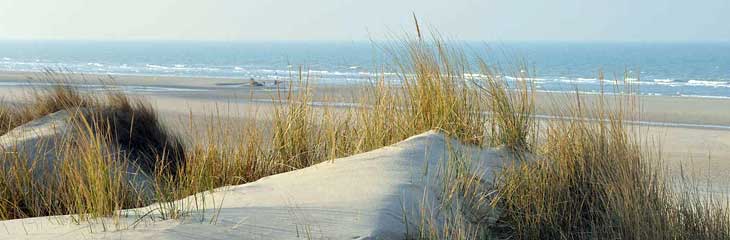 Dunes de Flandres