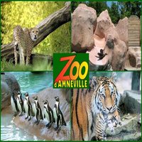 Zoo d' Amnéville