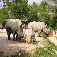 Parc zoologique de Montpellier