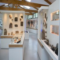 Le Muséum de L'Ardèche - PaléOdécouvertes