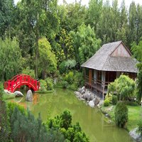 Jardin japonais de Toulouse