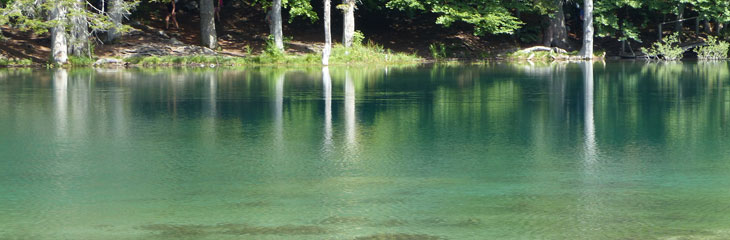 Le Lac vert (Passy)
