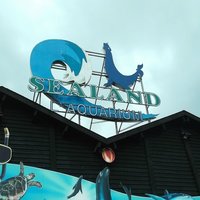 Sealand, l’Aquarium de Noirmoutier