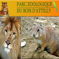 Parc Zoologique du Bois d'Attilly