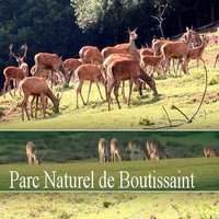 Parc naturel de Boutissaint