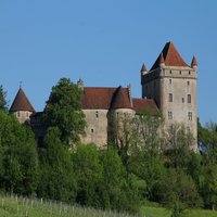 Château Fort du Pin