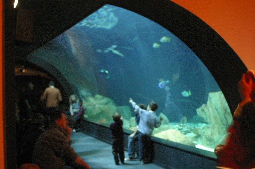 Aquarium de Paris - Cineaqua