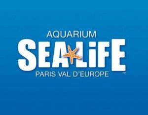 Aquarium Sea Life
