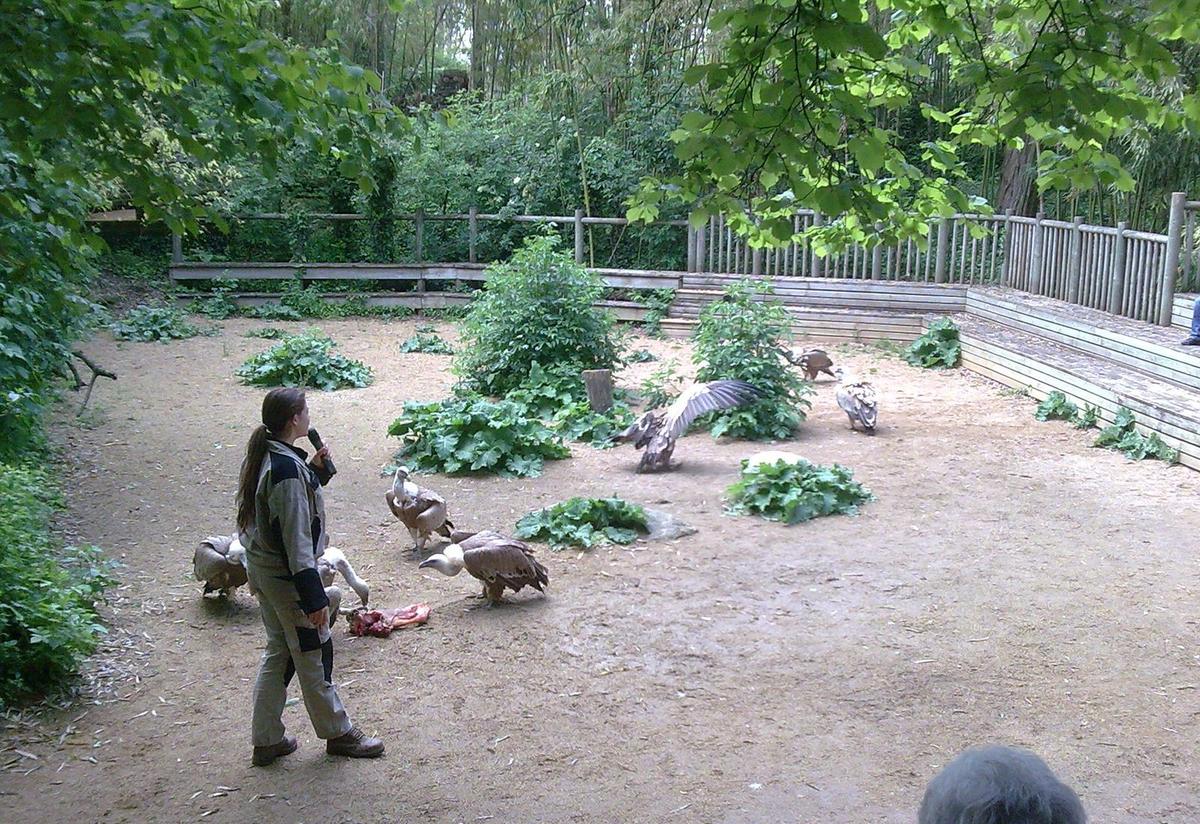 Bioparc de Doué la Fontaine