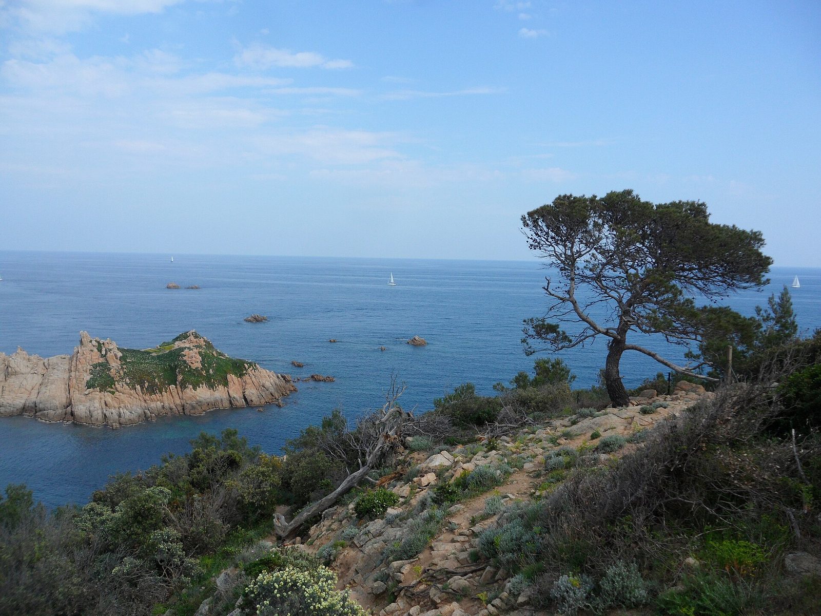 Cap Camarat
