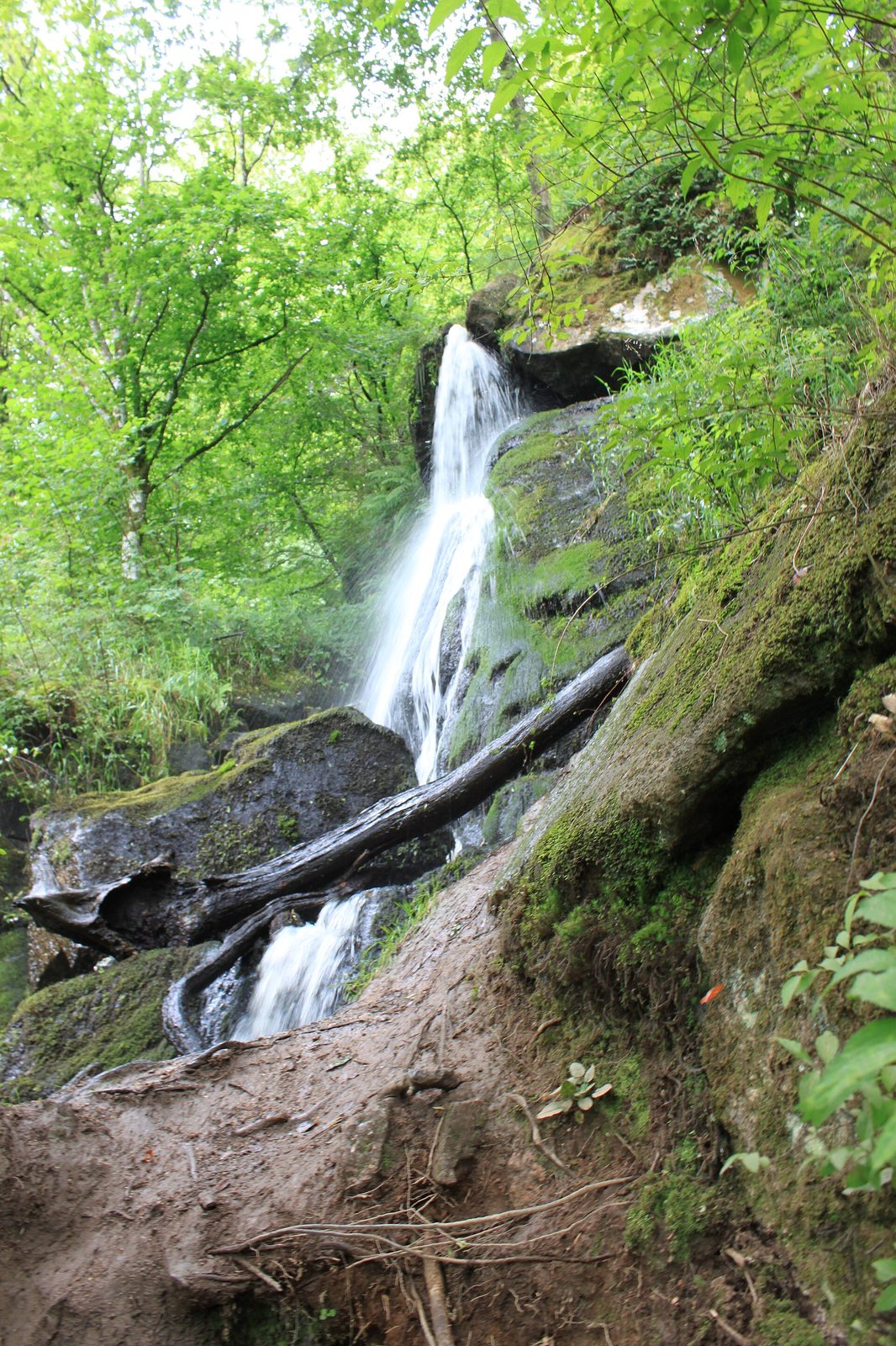 Cascade de Brisecou