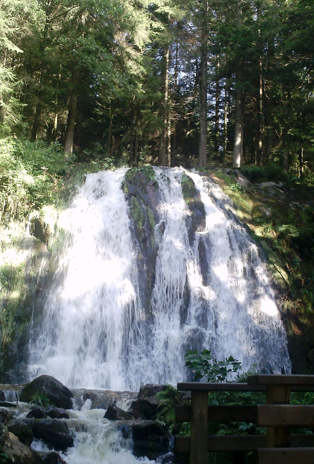 Cascade de la Pissoire (Haut du Tôt - Vosges)