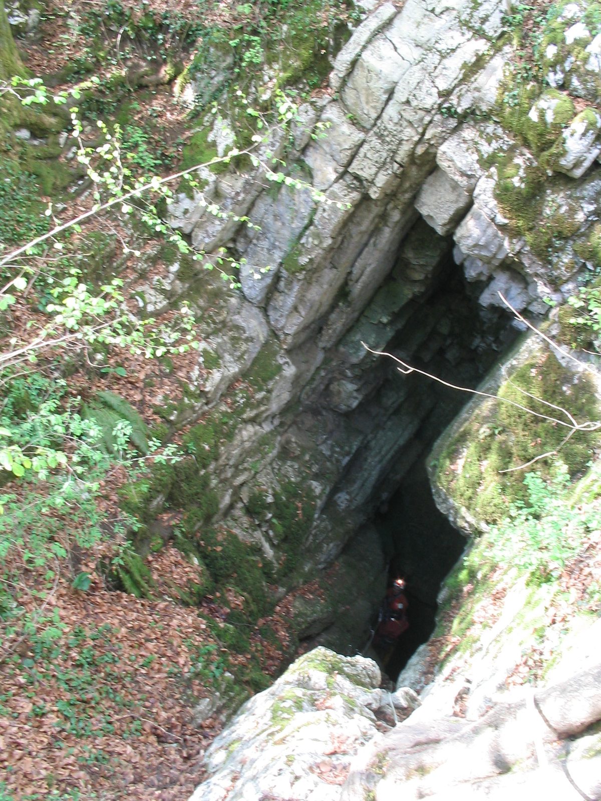 Cascade et source du Verneau