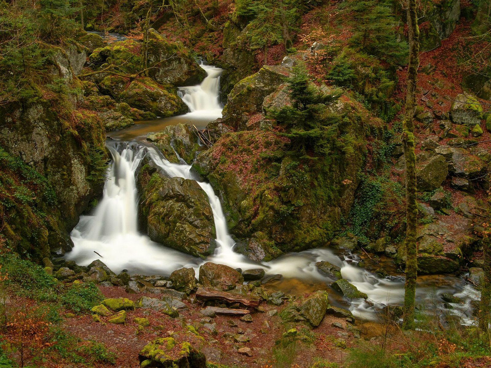 Cascades de Tendon