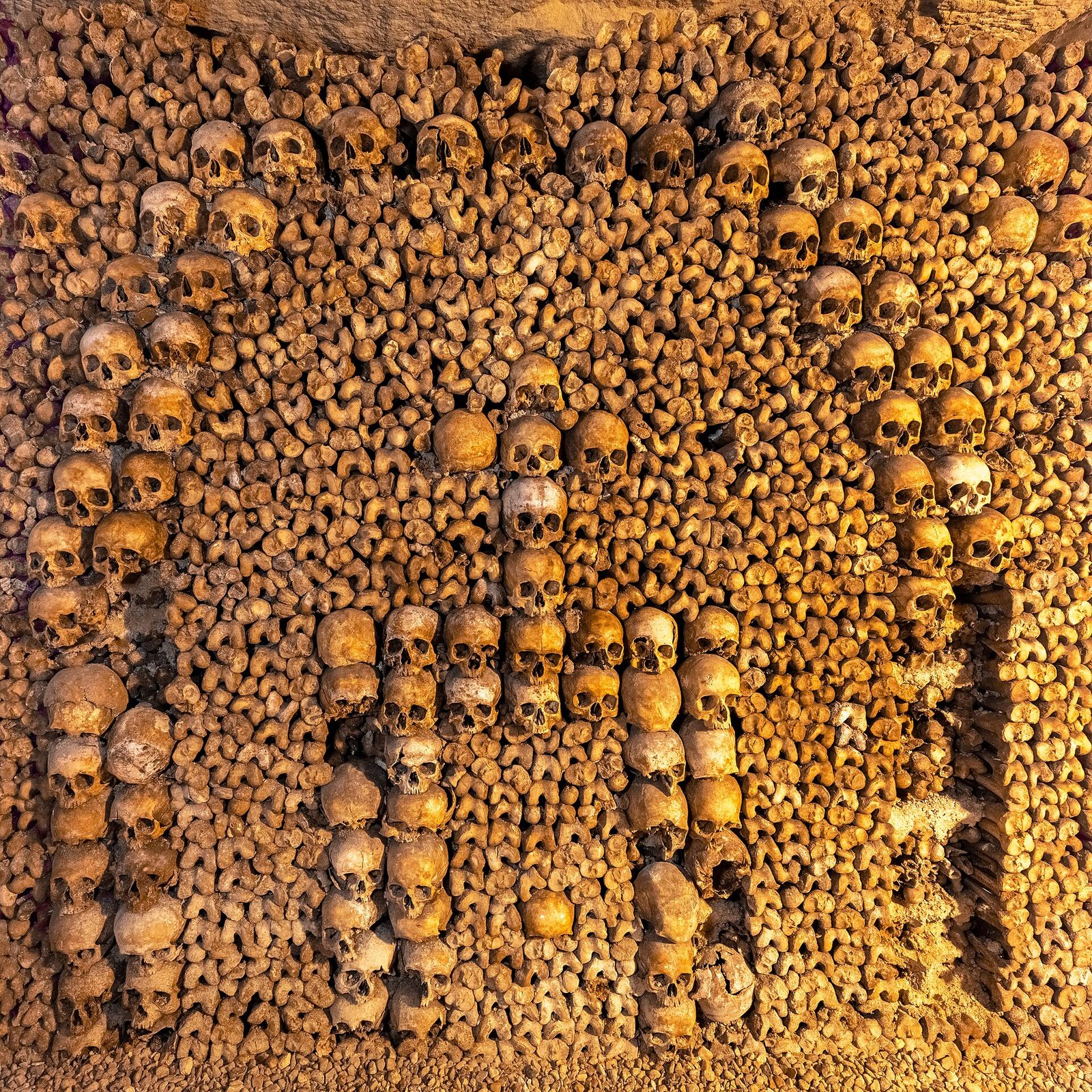 Catacombes de Paris