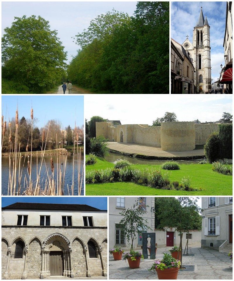 Château de Brie-Comte-Robert