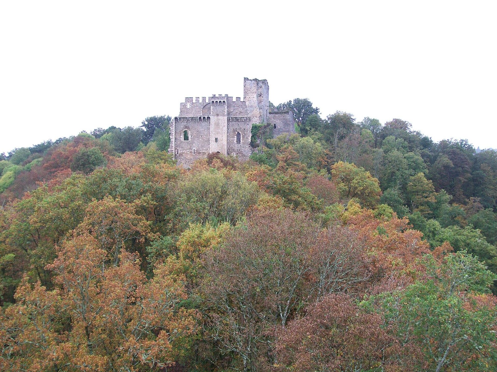 Château de Chalucet