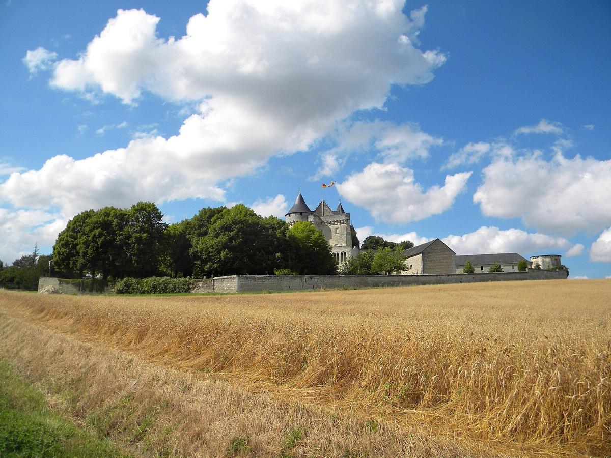 Château de la Motte d'Usseau