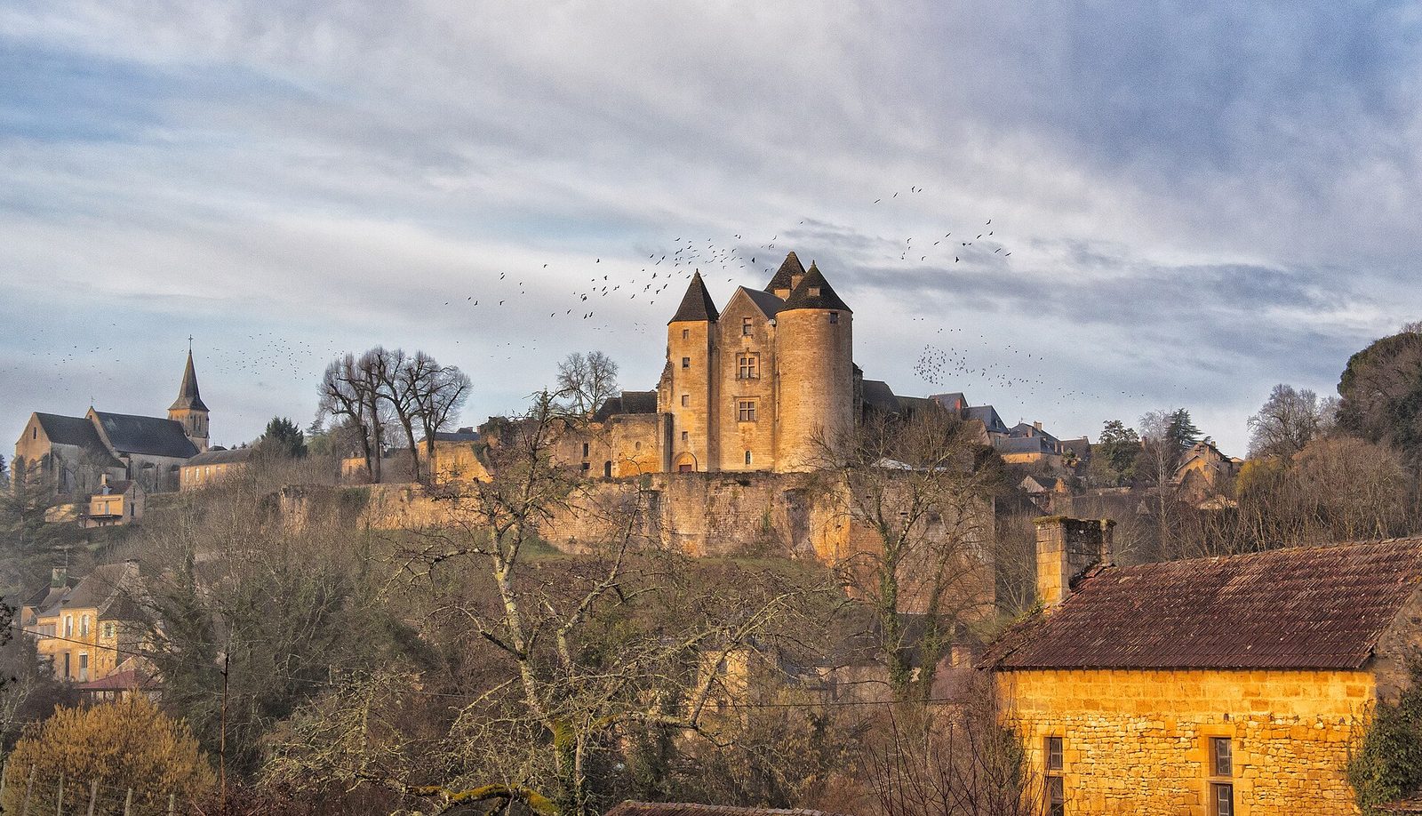 Château de Salignac