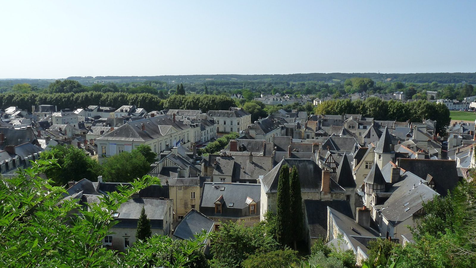 Chinon