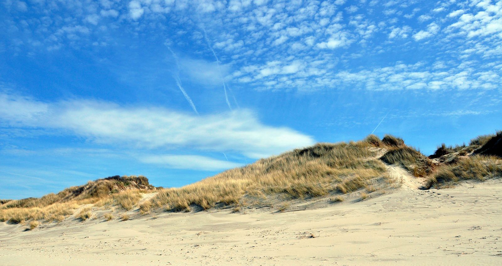 Dunes de Flandres