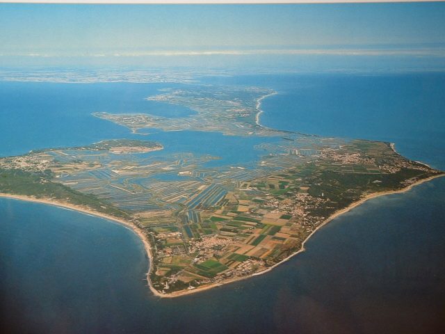 Dunes de l'Ile de Ré