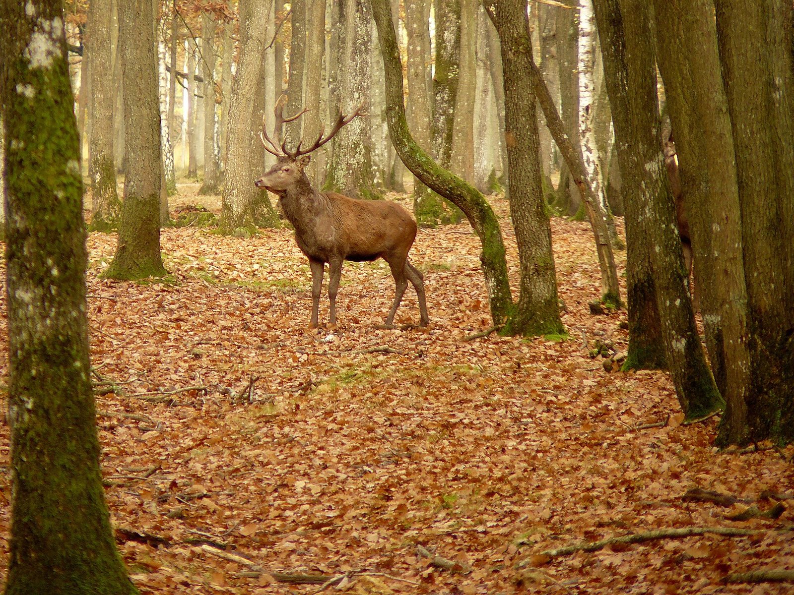 Espace Rambouillet