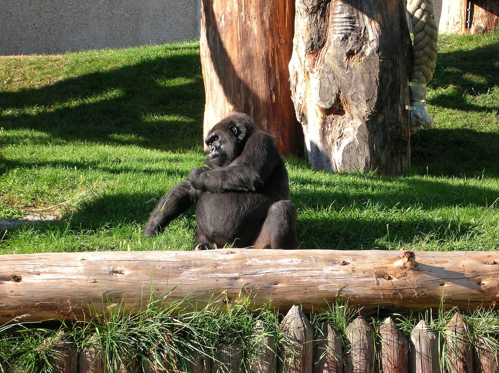 Espace Zoologique de St-Martin la plaine