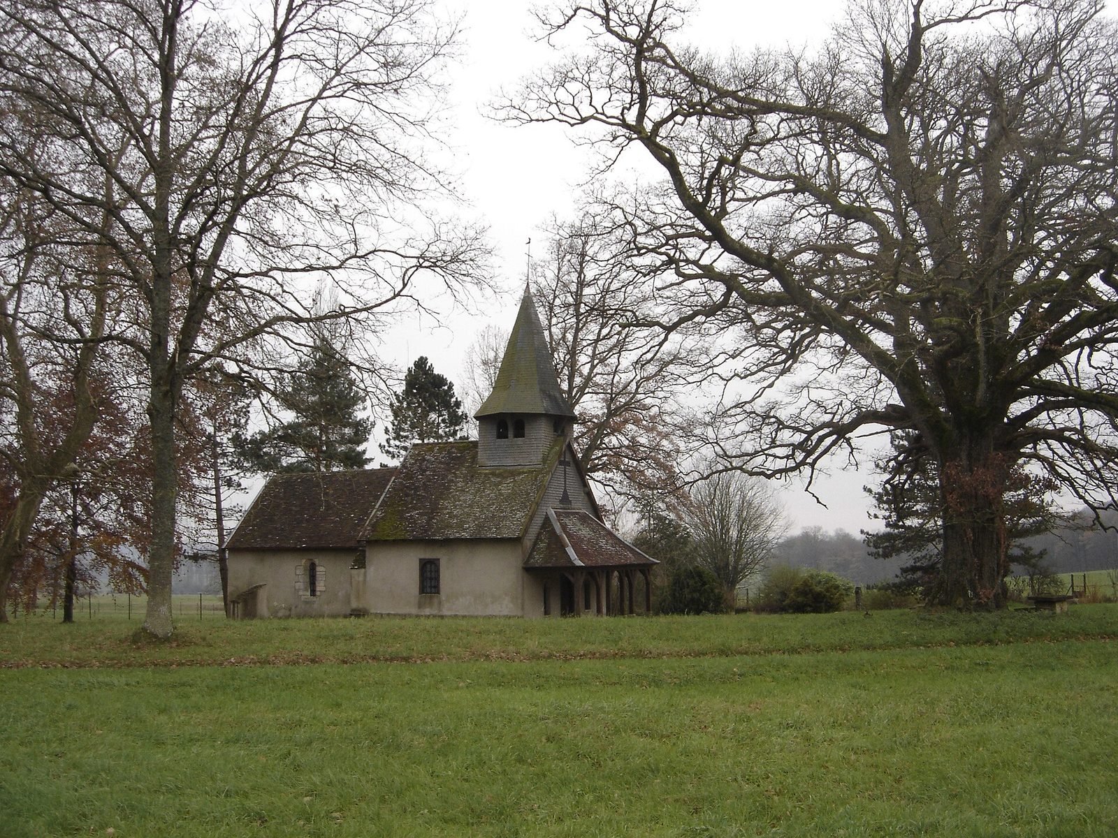Forêt d'Orient