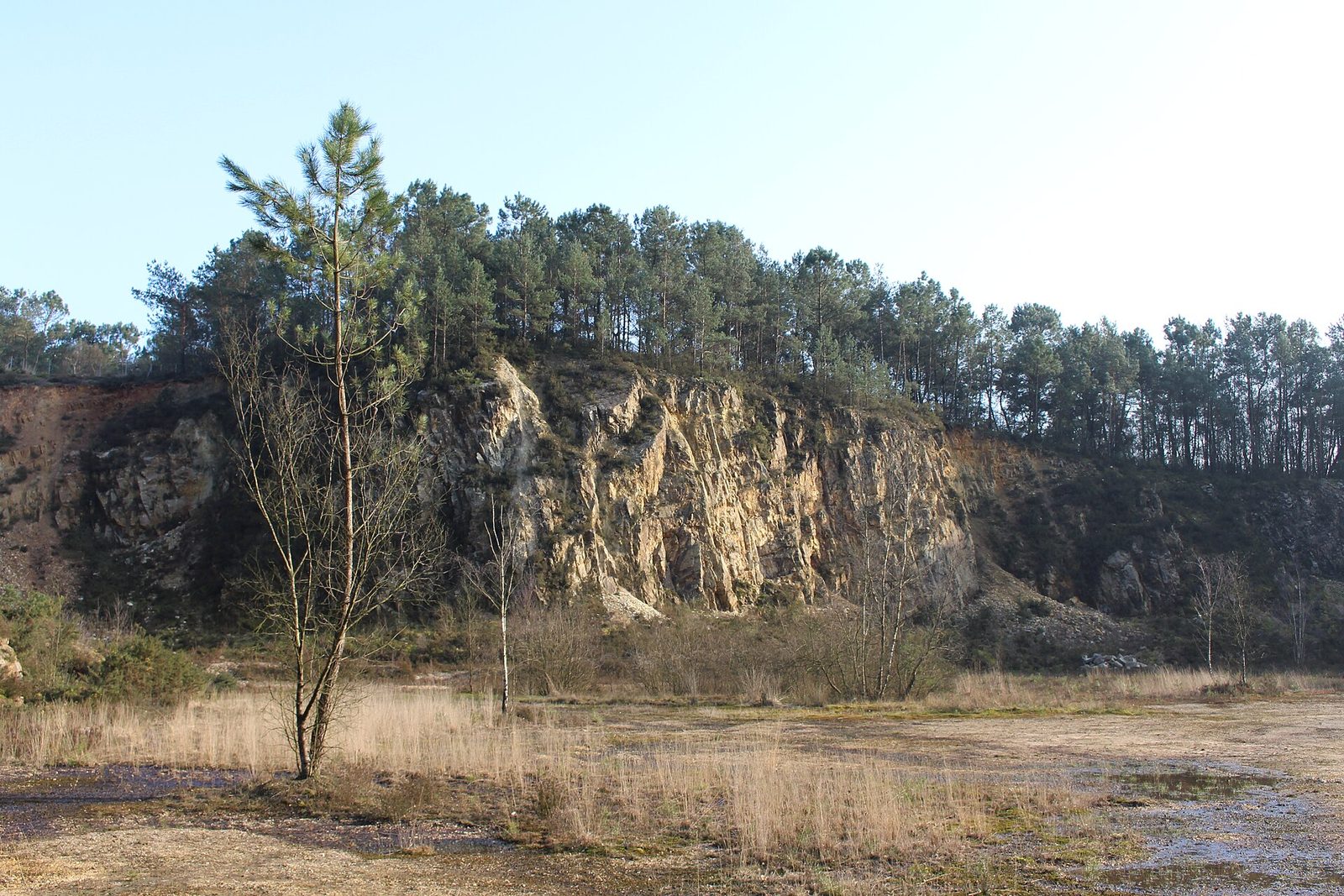 Fosse Arthour
